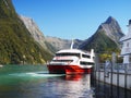 New Zealand, Scenic Fjord Landscape, Milford Sound Cruise Royalty Free Stock Photo