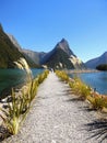 New Zealand, Scenic Fjord Landscape, Milford Sound Royalty Free Stock Photo