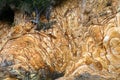 New Zealand Sedimentry Rock