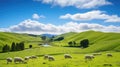 new zealand sheep farm Royalty Free Stock Photo