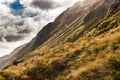 New Zealand Southern Island Natural Landscape