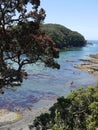 New Zealand summer: marine reserve Royalty Free Stock Photo