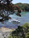 New Zealand summer: tourist boat at marine reserve Royalty Free Stock Photo