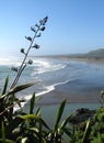 New Zealand surfing beach with flax foreground.