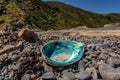 Paua / Abalone Shell On NZ Rock Beach