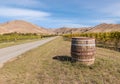 New Zealand vineyard landscape in autumn at harvest time with old wooden wine barrel Royalty Free Stock Photo