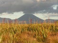 New Zealand Volcano