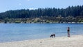 Leisure image of a woman and her pet dog enjoying beautiful day out along lake