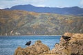 New Zealand and Wellington ocean scenery, public beach