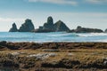 New Zealand west coast Motukiekie beach Royalty Free Stock Photo