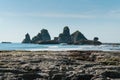 New Zealand west coast natural landscape Motukiekie beach Royalty Free Stock Photo