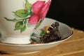 New Zealand yellow admiral butterfly on a vintage tea cup