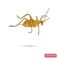 New Zeland grasshopper color flat icon for web and mobile design