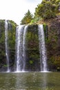 New Zealand. North island. Whangarei waterfall. Royalty Free Stock Photo