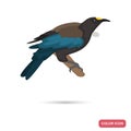 New Zeland tui bird color flat icon for web and mobile design Royalty Free Stock Photo