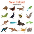 New Zeland wild animals color flat icons set for web and mobile design Royalty Free Stock Photo