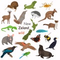 New Zeland wild animals color flat icons set for web and mobile design