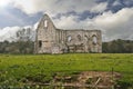 Newark Priory ruins