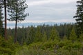 Newberry National Volcanic Monument Royalty Free Stock Photo