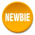 newbie button Royalty Free Stock Photo