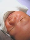 Newborn Asian baby boy Royalty Free Stock Photo