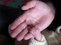 Tiny Fingers Holding Hand Royalty Free Stock Photo