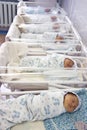 Newborn babies in materinity hospital