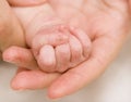 Newborn baby Royalty Free Stock Photo