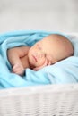 Newborn baby Royalty Free Stock Photo