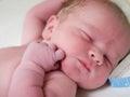 Newborn Baby Royalty Free Stock Photo