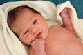 Newborn baby awake Royalty Free Stock Photo