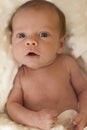 Newborn baby Royalty Free Stock Photo