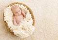 Newborn Baby, Beautiful New Born Kid One Month Old in Basket Royalty Free Stock Photo