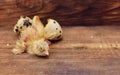 Newborn baby bird or quail chick hatches from an egg close-up on a wooden background. Poultry farm, quail breeding.