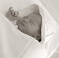 Newborn baby boy Royalty Free Stock Photo