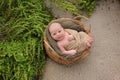 Newborn Baby Boy in a Basket on Beach Royalty Free Stock Photo