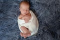 Newborn baby boy in bed. New born child sleeping under a white knitted blanket. Children sleep. Royalty Free Stock Photo