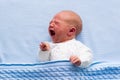 Newborn baby boy on a blue blanket Royalty Free Stock Photo