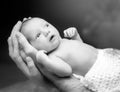 Newborn baby boy on the father`s hand. Royalty Free Stock Photo