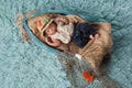 Newborn Baby Boy in Fisherman Outfit Royalty Free Stock Photo