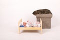 Sleepy newborn baby boy in bed guarded by cat