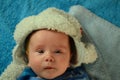 newborn baby boy 3 months old. in a funny winter hat - portrait Royalty Free Stock Photo
