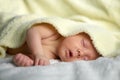 Newborn baby boy on white carpet closeup Royalty Free Stock Photo