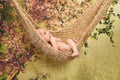 Newborn Baby Boy Relaxing in a Hammock