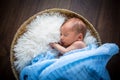 Newborn baby boy Royalty Free Stock Photo