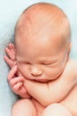 Newborn baby boy sleeping on the light blue background. Portrait close-up Royalty Free Stock Photo