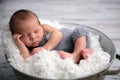 Newborn baby boy, sleeping peacefully in basket, dressed in knit Royalty Free Stock Photo