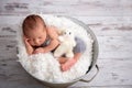 Newborn baby boy, sleeping peacefully in basket, dressed in knit Royalty Free Stock Photo