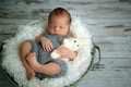 Newborn baby boy, sleeping peacefully in basket, dressed in knit Royalty Free Stock Photo