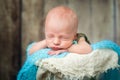 Newborn baby boy sleeping in a silver metal bucket Royalty Free Stock Photo